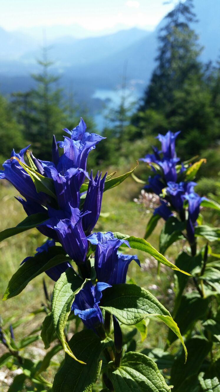 7A5C5B1C-B7BD-48BF-9068-90E95ECB9F6B