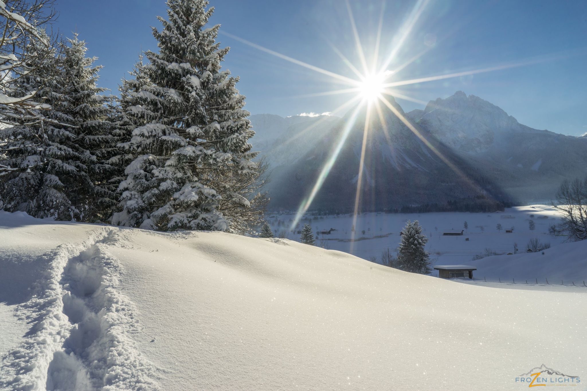 D8BBC34F-B264-491B-97BE-10C2BF6D2E24