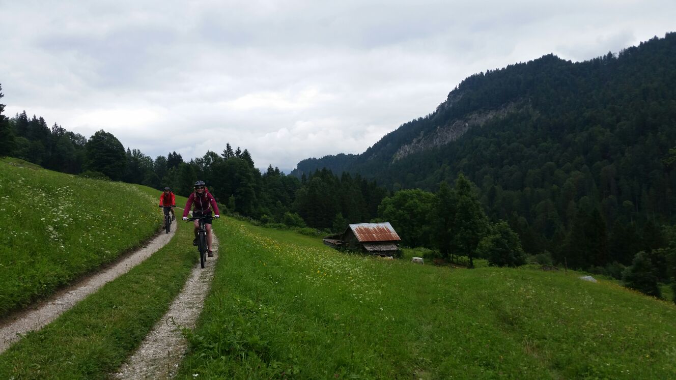 6A984C11-269E-454C-A007-B02113BC503C