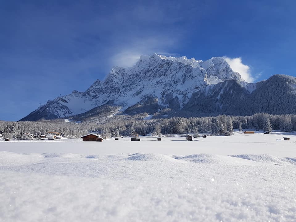 EA43E43E-3D63-41D1-B3A5-DC8B6A3A1D4A